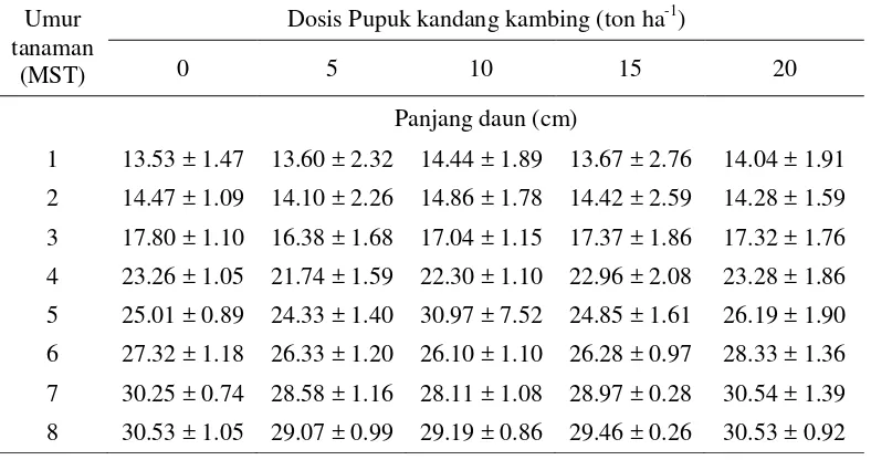 Tabel 8  Rata-rata lebar daun terpanjang tanaman tempuyung pada umur dan dosis pupuk yang berbeda 