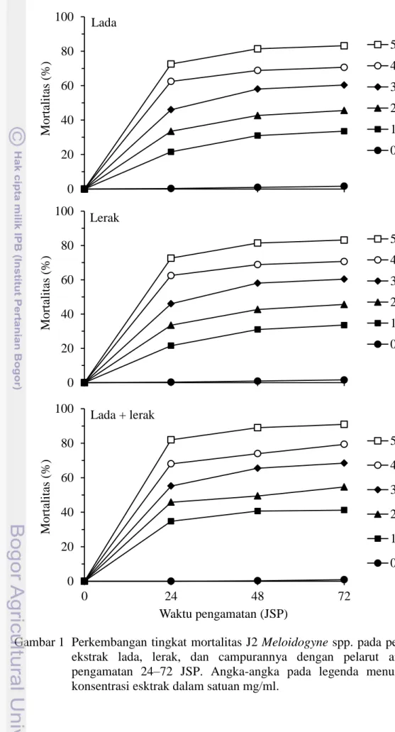 Gambar 1   Perkembangan tingkat mortalitas J2 Meloidogyne spp. pada perlakuan  ekstrak  lada,  lerak,  dan  campurannya  dengan  pelarut  air  pada  pengamatan  24–72  JSP