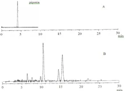 Gambar 1. Kromatogram standar piperin (A) dan fraksi 2 KVC P.  retrofractum  (B)  yang  dideteksi  dengan  UV  λ 275 nm