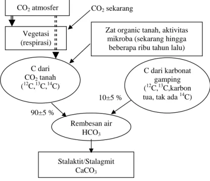 Gambar 3.  Faktor-faktor yang berkontribusi dalam pembentukan stalaktit dan stalagmit [2] 