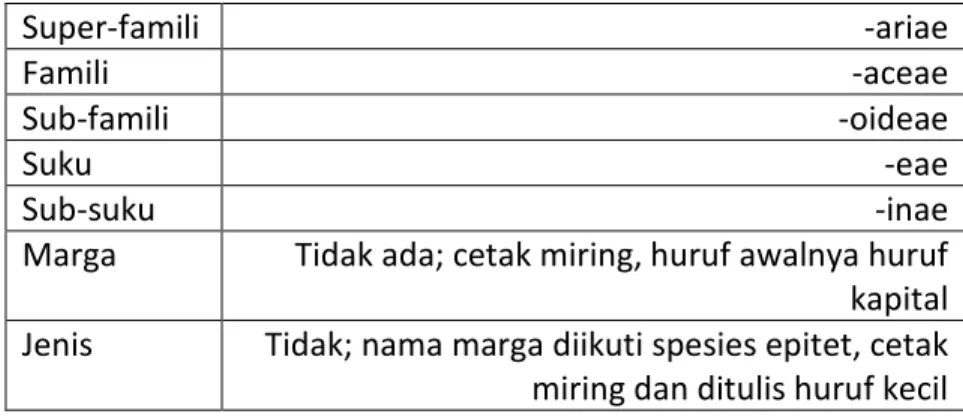 Table 6.2. Hirarki klasifikasi pohon matoa menurut standar ICBN. 