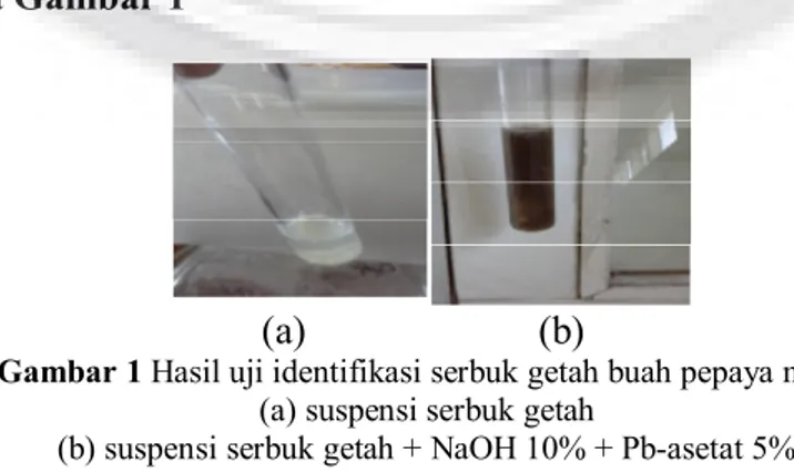 Gambar 1 Hasil uji identifikasi serbuk getah buah pepaya muda   (a) suspensi serbuk getah  
