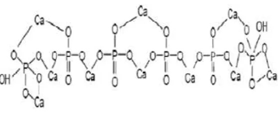 Gambar 2.8. Struktur kimia hidroksiapatit (Yessy &amp; Basril, 2011). 