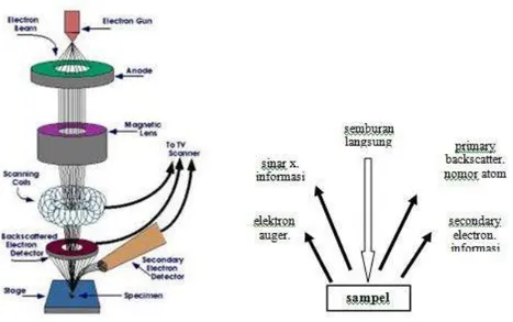 Gambar 2.11. Diagram Scanning Electron Microscope (SEM) 