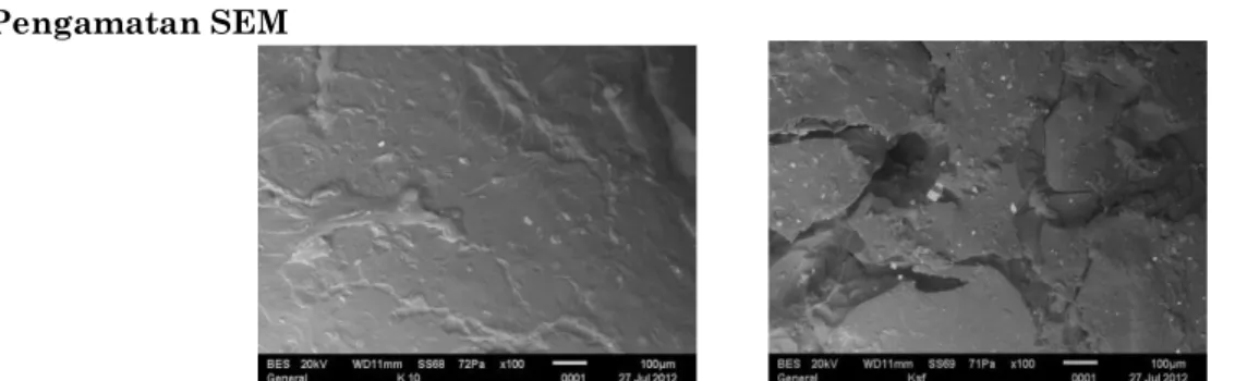 Gambar  5.: Mikrograf  Scanning electron micrographs  montmorillonite K10 and Ksf  Penentuan Daya Serap Air 