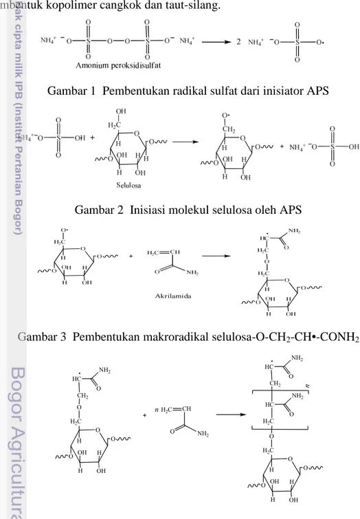 Gambar 1  Pembentukan radikal sulfat dari inisiator APS 