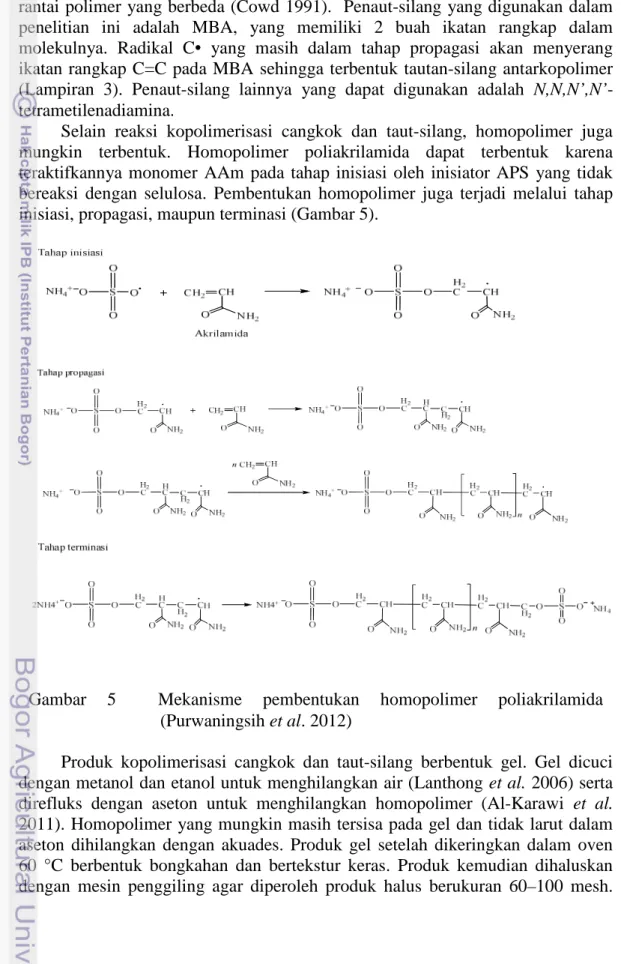 Gambar  5  Mekanisme  pembentukan  homopolimer  poliakrilamida  (Purwaningsih et al. 2012) 