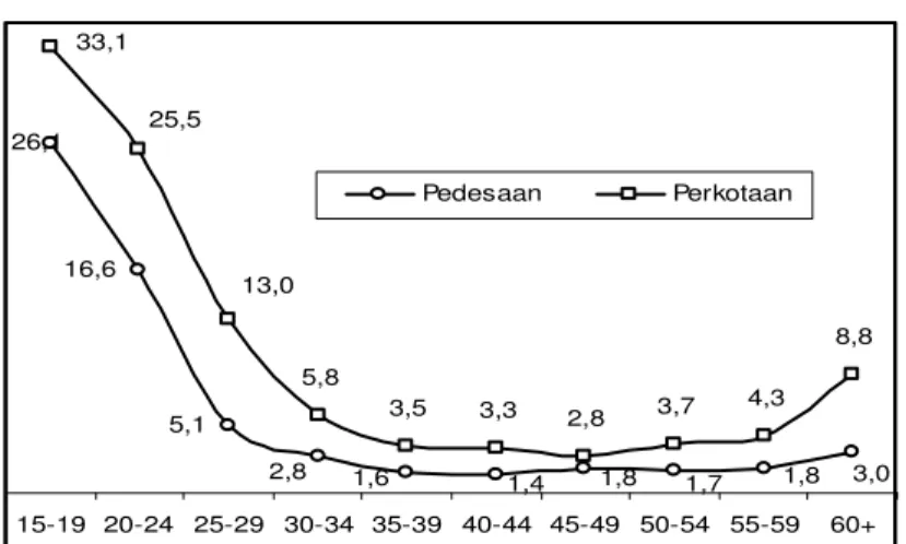 Grafik 4.1.  Tingkat Pengangguran Menurut Kelompok  Umur di Pedesaan dan Perkotaan Indonesia,  2003 