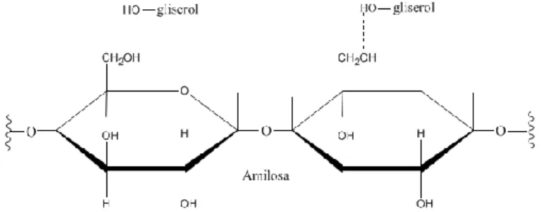 Gambar 7. Struktur ikatan kimia film pati ubi kayu dengan gliserol 
