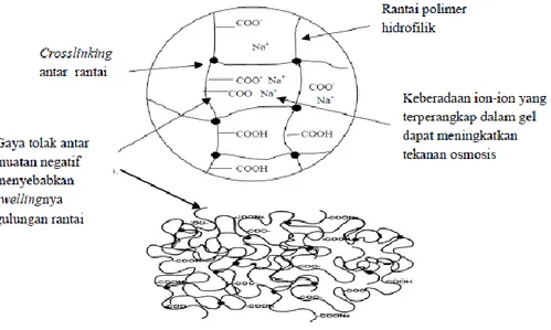 Gambar 3.    Gambaran skematik proses yang terjadi dalam polimer akibat  netralisasi (Elliott, 1997)