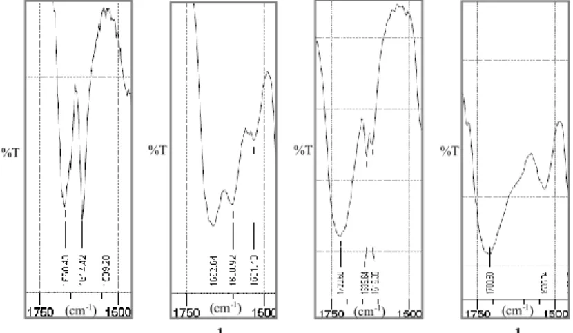 Gambar 16  Spektrum IR pada bilangan gelombang 1500-1750 cm -1 : (a) akrilami- akrilami-da, (b) poliakrilamiakrilami-da, (c) akrilat, (d) poliakrilat 