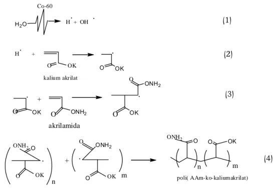 Gambar 1. Reaksi sintesis HSA poli(AAM-ko-KA) 
