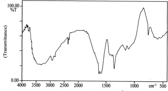 Gambar 2. Spektrum FT-IR hidrogel poli (AAm-ko-AA) hasil iradiasi   dosis 20 kGy dengan konsentrasi AAm=10 % dan KA = 15 % 