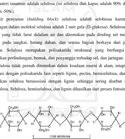 Gambar 2.9.Struktur Kimia Selulosa  Sumber : Lehniger, (1993) 