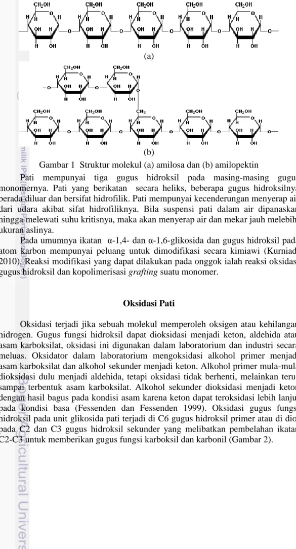 Gambar 1  Struktur molekul (a) amilosa dan (b) amilopektin  