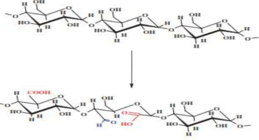 Gambar 2  Skema yang menampilkan oksidasi pati 
