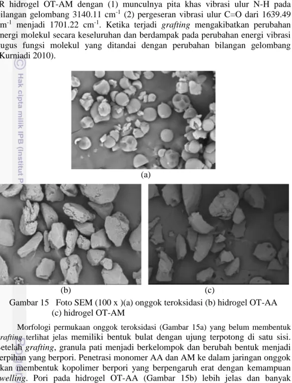Gambar 15   Foto SEM (100 x )(a) onggok teroksidasi (b) hidrogel OT-AA                           (c) hidrogel OT-AM 