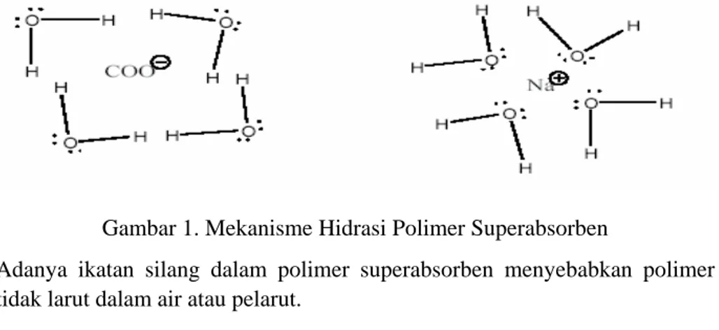 Gambar 1. Mekanisme Hidrasi Polimer Superabsorben 