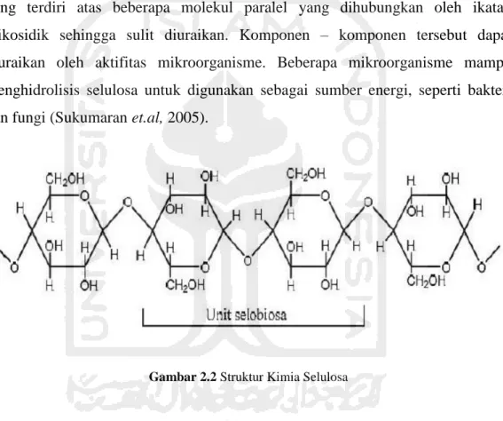 Gambar 2.2 Struktur Kimia Selulosa 