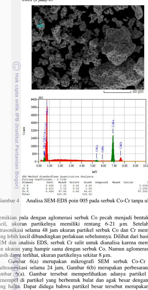 Gambar 4  Analisa SEM-EDS poin 005 pada serbuk Co-Cr tanpa ultrasonikasi 
