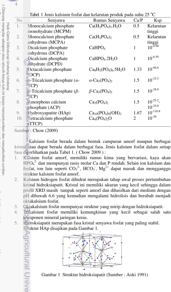 Tabel  1  Jenis kalsium fosfat dan kelarutan produk pada suhu 25  o C 