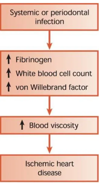 Gambar 1. Pengaruh infeksi pada viskositas darah, peningkatan plasma fibrinogen  dan von wallebrand factor menyebabkan hiperkoagulasi (Mealey, et al