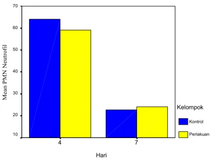 Gambar 4.5 Grafik rata-rata jumlah  polimorfonuklear  neutrofil pada hari ke-4 dan ke-7 
