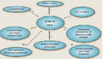 Gambar 2.5 Faktor risiko tradisional dan non tradisional CVD pada SLE(Blackwell,2005)