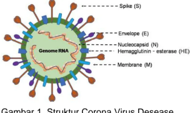 Gambar 1. Struktur Corona Virus Desease  (Jin et al, 2020). 