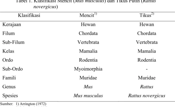 Tabel 1. Klasifikasi Mencit (Mus musculus) dan Tikus Putih (Rattus  novergicus) 