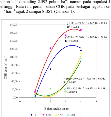 Gambar 1. Pola CGR kimpul pada beberapa populasi tegakan jati hubungannya dengan umur tanaman    kimpul 