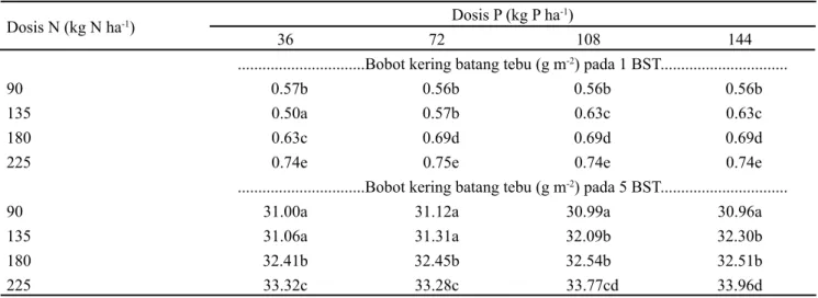 Tabel 5. Bobot kering batang tebu (g m -2 ) dengan kombinasi perlakuan N dan P saat fase muncul lapang (1 BST) dan fase  anakan tetap (5 BST)