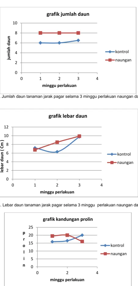 Gambar 3. Jumlah daun tanaman jarak pagar selama 3 minggu perlakuan naungan dan kontrol 