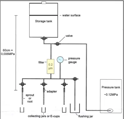 Gambar 1. Sistem Sperry untuk mengukur hydarulic conductivitance akar (Skema  oleh B. Rewald,  Gottingen University, Germany) 