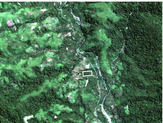 Gambar 2 Gambar peta lokasi penelitian yang diambil dari satelit Quickbird pada  bulan  Mei 2007 (tanda panah putih)