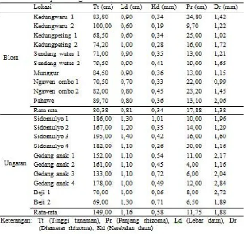 Tabel  2.    Ukuran  rata-rata  tinggi  tanaman,  lebar  dan  ketebalan  daun,  panjang  dan  diameter  rhizoma  alang- alang-alang  di Kabupaten Blora dan Ungaran