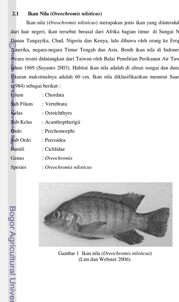 Gambar 1  Ikan nila (Oreochromis niloticus)  (Lim dan Webster 2006). 