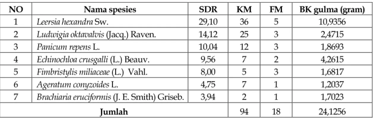 Tabel 2.   Data identifikasi gulma yang ditemukan pada fase generatif pertumbuhan tanaman  padi  di Kecamatan Pauh 