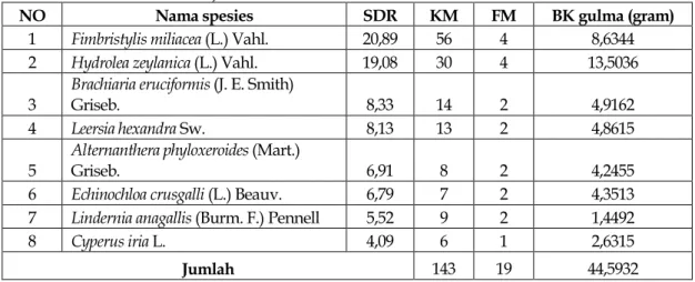 Tabel 3.   Data identifikasi gulma yang ditemukan pada fase vegetatif pertumbuhan tanaman  padi  di Kecamatan Kuranji    