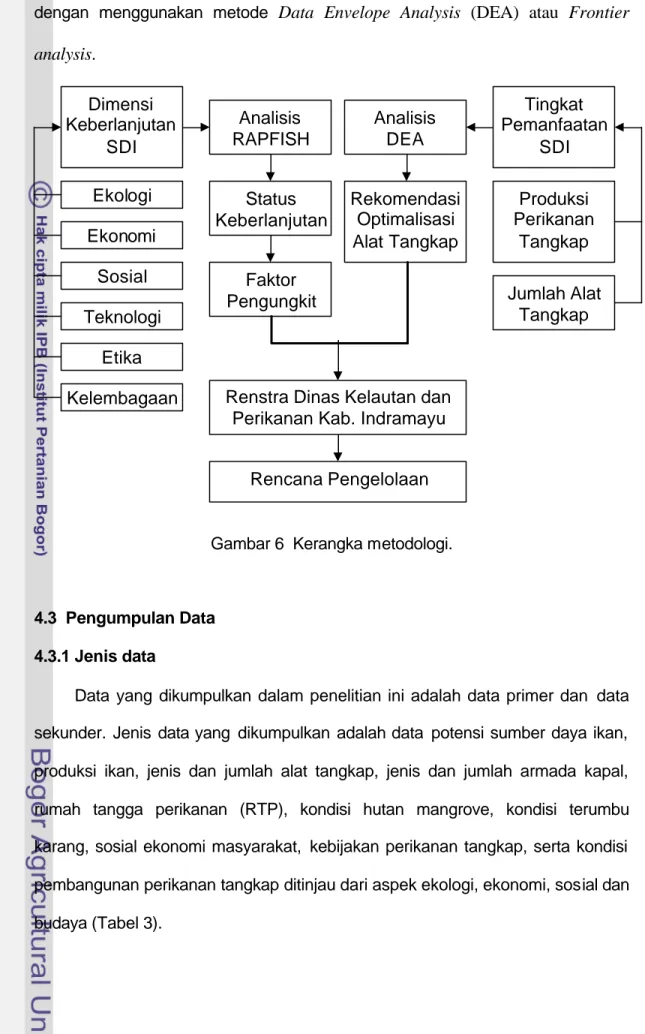 Gambar 6  Kerangka metodologi.