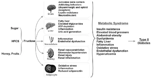 Gambar 5. Efek Fruktosa terhadap Otak, Hepar, Pembuluh Darah, Ginjal dan Sel                Adiposit Memicu Timbulnya Berbagai Gejala Sindrom Metabolik 1 Pengaruh  fruktosa  terhadap 