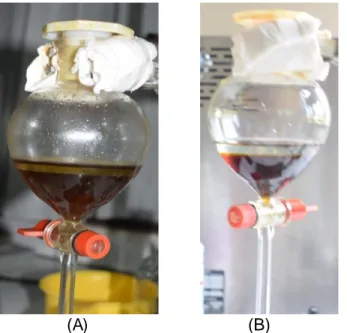 Gambar  4.  Proses partisi ektrak jamur. A. fraksi etil asetat dan air ; B. fraksi n-heksan  dan etanol