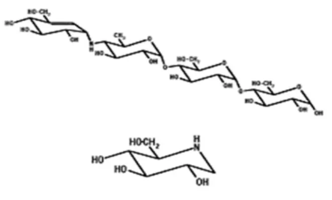 Gambar 6. Struktur tetrasakarida acarbose dan monosakarida 1-deoxynojirimicyn (Kanai et al 2001)