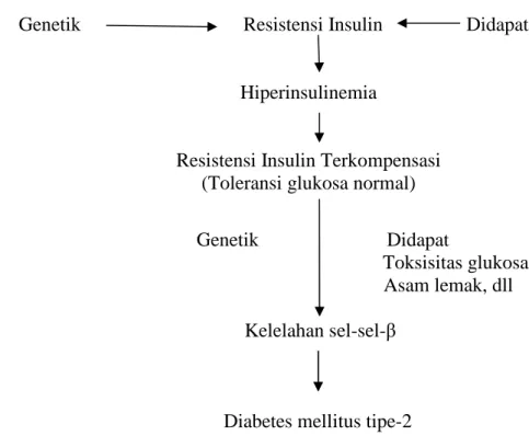 Gambar 5. Etiologi terjadinya penyakit DM tipe-2 (Suyono 2002) Diagnosis Diabetes melitus