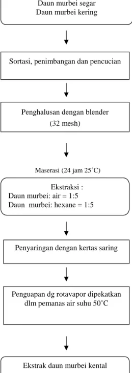 Gambar 8. Diagram alur proses pembuatan ekstrak daun murbei