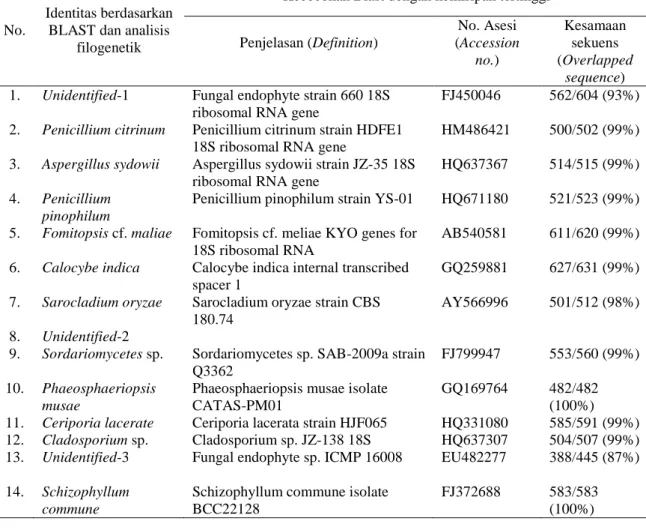 Tabel 1. Identitas spesies jamur endofit pada biji padi 