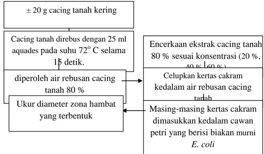 Tabel  1. Rata-rata diameter zona hambat bakteri  Escherichia coli. 