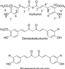 Gambar 4.  Struktur kurkuminoid (Jayaprakhasa et al., 2005)