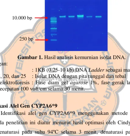 Gambar 1. Hasil analisis kemurnian isolat DNA. 