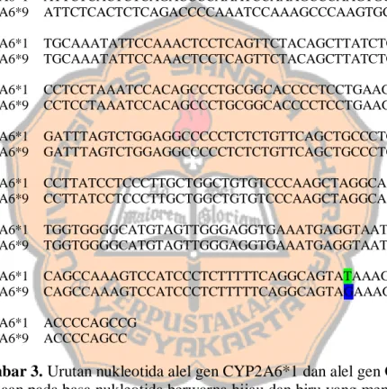 Gambar 3. Urutan nukleotida alel gen CYP2A6*1 dan alel gen CYP2A6*9  (perbedaan pada basa nukleotida berwarna hijau dan biru yang mengalami SNP)